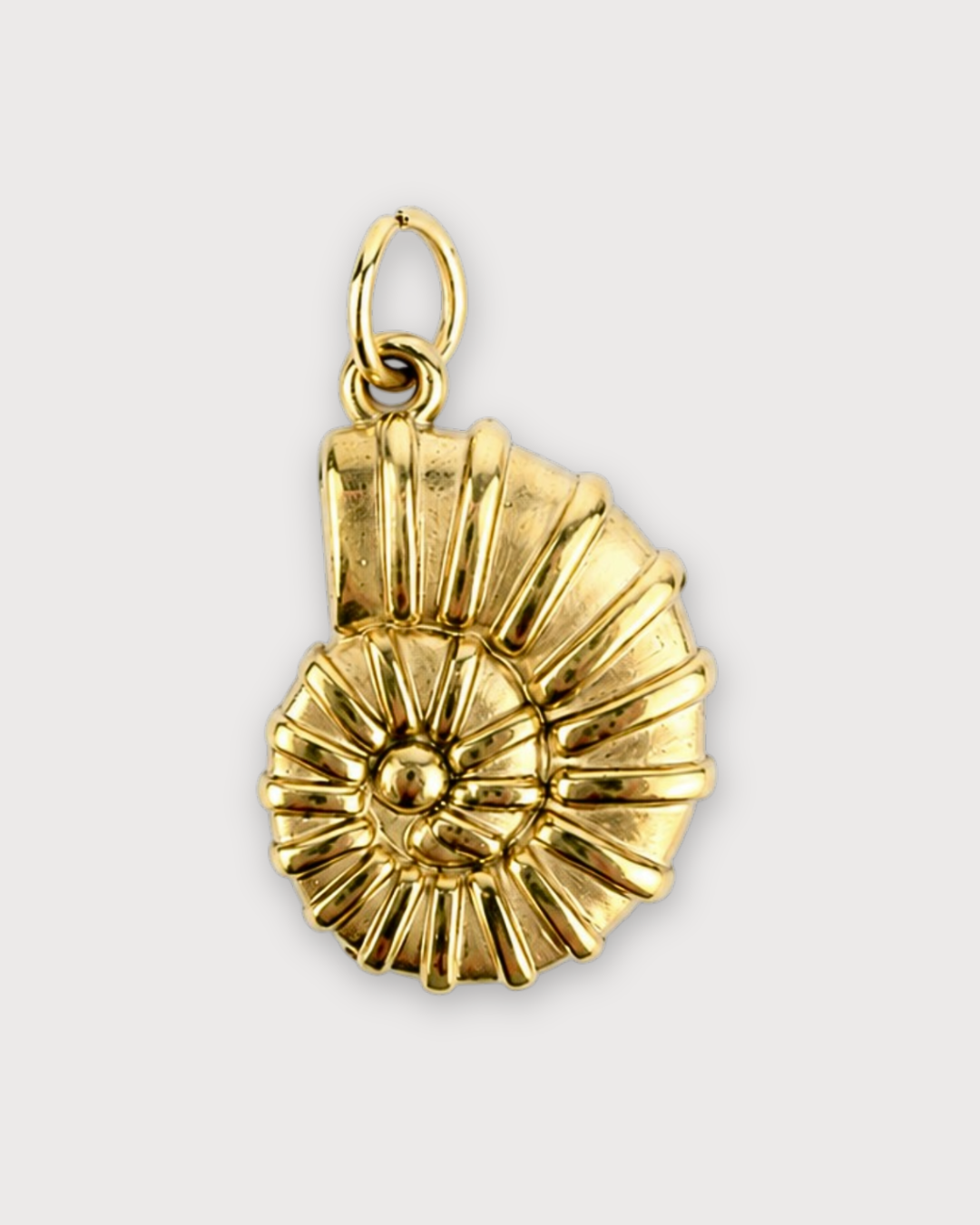 Pendant - fossil